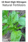 Does your garden need a boost? Find out which of these 10 Best High Nitrogen Natural Fertilizers for organic gardens is right for you...