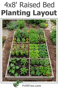 4x8-raised-bed-planting-layout-600x900.jpg