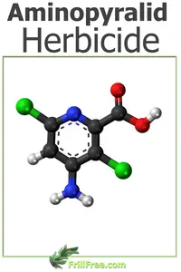 aminopyralid-herbicide-600x900.jpg