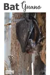 Bat Guano - high nitrogen natural fertilizer - but make sure to use it judiciously...