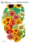 Attract pollinators, repel pests; Best Flowers for your Vegetable Garden...