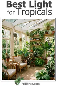 Best Light for Tropicals