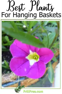 best-plants-for-hanging-baskets-600x900.jpg
