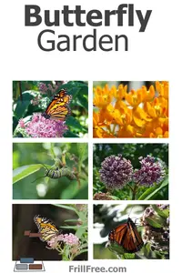 butterfly-garden-600x900.jpg
