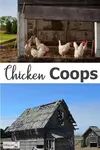 chicken-coops600x900.jpg