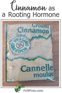 Can you use Cinnamon as a Rooting Hormone? Why or why not?