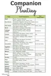 companion-planting600x900.jpg