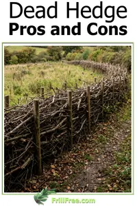 dead-hedge-pros-and-cons600x900.jpg