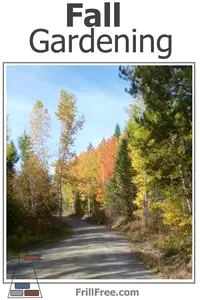 Fall Gardening; don't stop yet, you have another season to go yet.  Autumn gardens provide lots more yummy vegetables, with less effort from you...