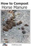 how-to-compost-horse-manure-600x900.jpg