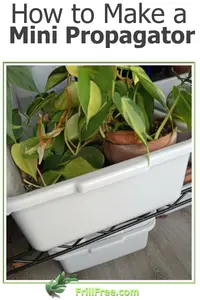 how-to-make-a-mini-propagator600x900.jpg