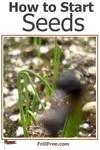 how-to-start-seeds1-600x900.jpg