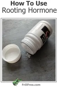 How To Use Rooting Hormone - choose the right formulation, take cuttings, dip and stick...