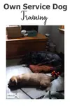Get a custom trained dog - do your Own Service Dog Training...