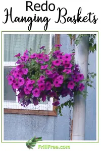 redo-hanging-baskets600x900.jpg