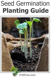 seed-germination-planting-guide-600x900.jpg