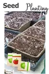 Seed Planting is a time honored way of growing your own vegetables; don't worry, it's not that hard...