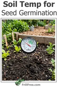 soil-temp-for-seed-germination-600x900.jpg