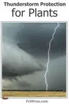 Ways to give your plants some protection from hail and strong winds associated with atmospheric disturbances; Thunderstorm Protection for Plants...