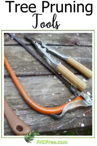 Tree Pruning Tools - sharp and well maintained...