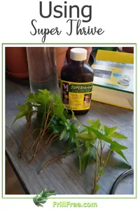 using-super-thrive-600x900.jpg
