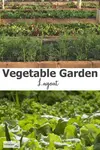 vegetable-garden-layout600x900.jpg