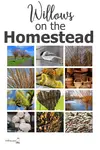How To add Salix to the mix - Willows on the Homestead...