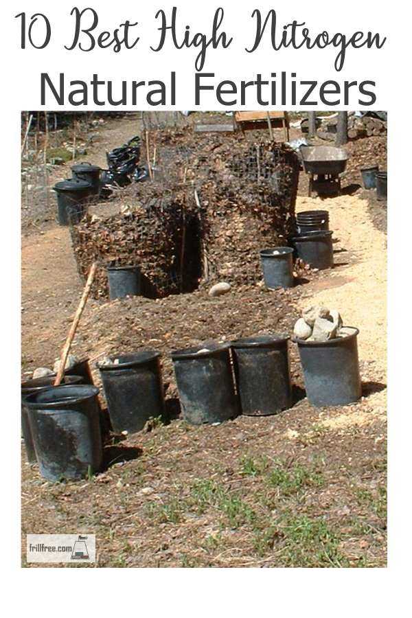 10 Best High Nitrogen Natural Fertilizers for organic gardens