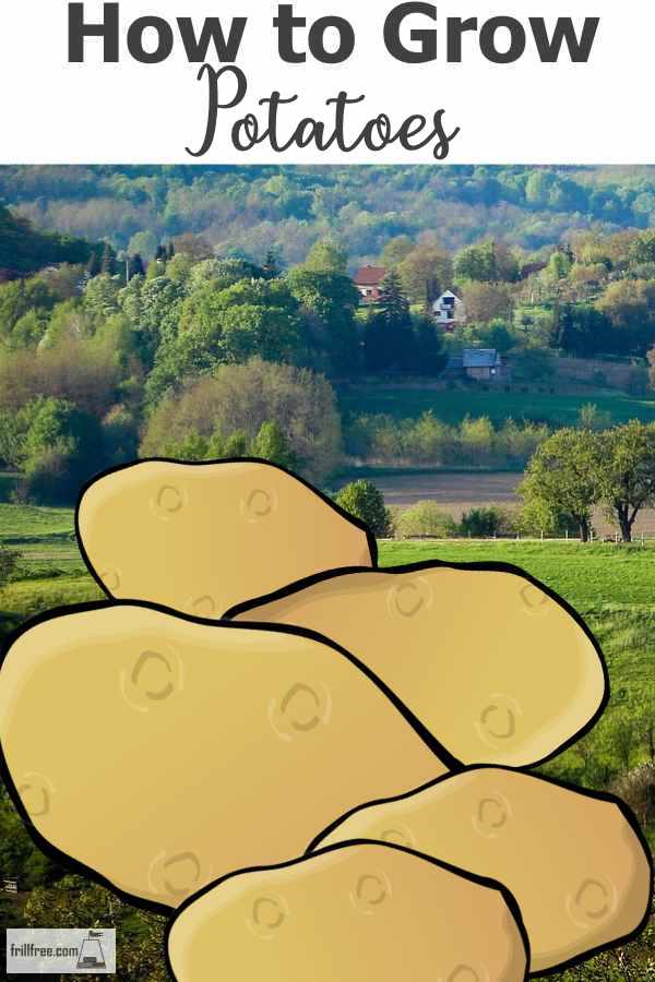 how-to-grow-potatoes600x900.jpg