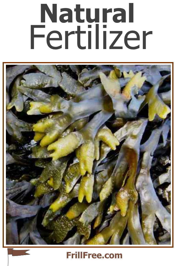 natural-fertilizer1-600x900.jpg