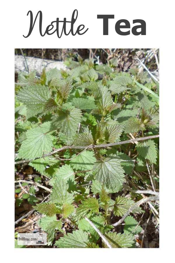nettle-tea600x900.jpg