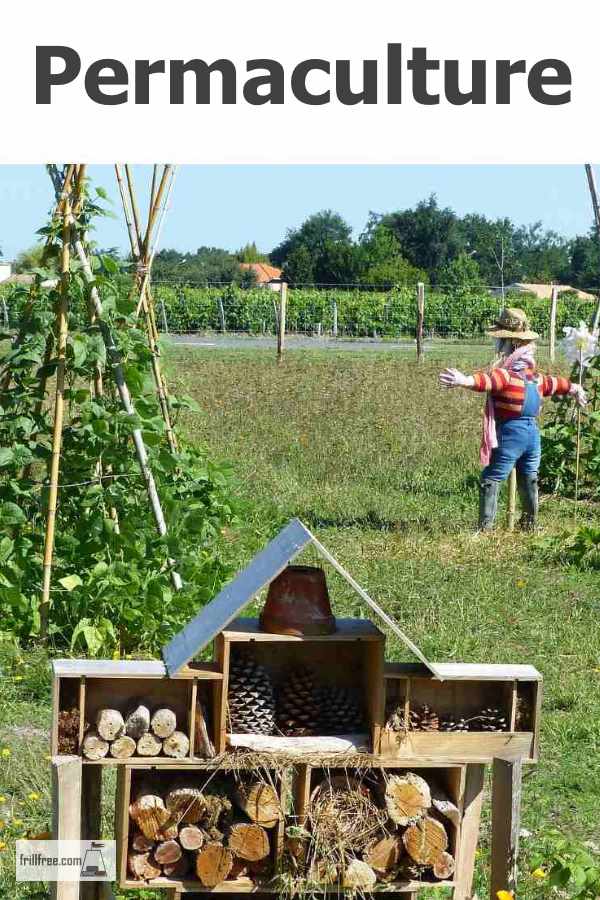 permaculture600x900.jpg