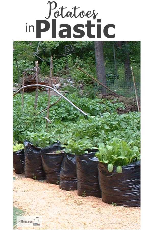 potatoes-in-plastic600x900.jpg