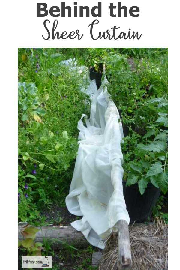 Behind the Sheer Curtain - more uses for old curtains...