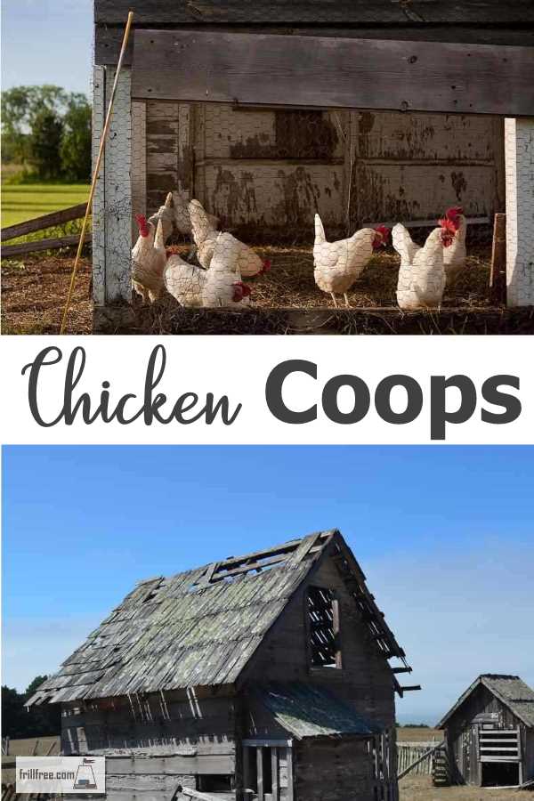 Chicken Coops