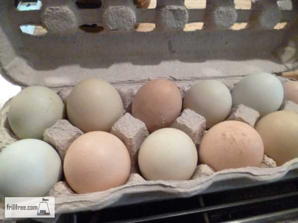 'Easter Eggs' for hatching