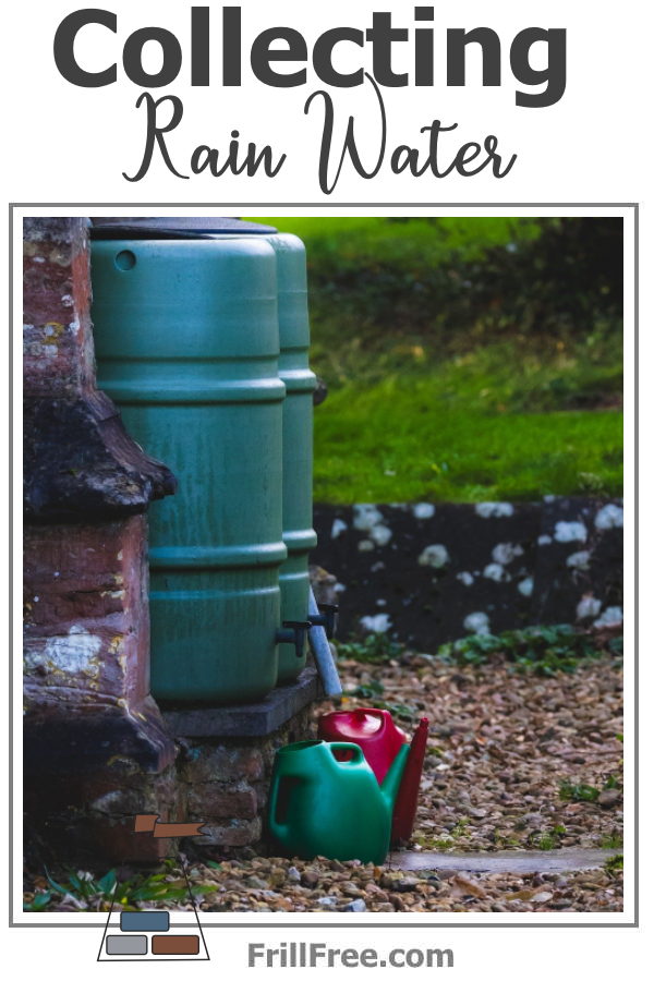collecting-rain-water600x900.jpg