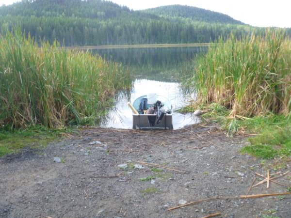 Mother Nature builds marshes to clean water, why can't we?