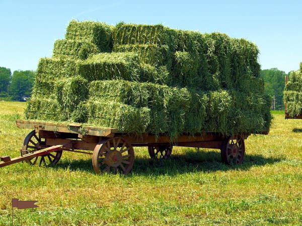 Hay Bales