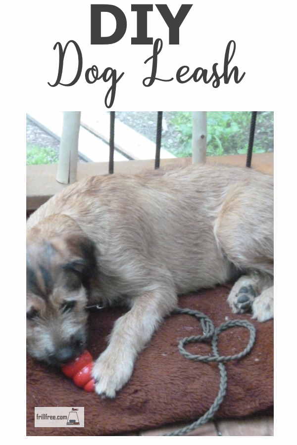 DIY Dog Leash