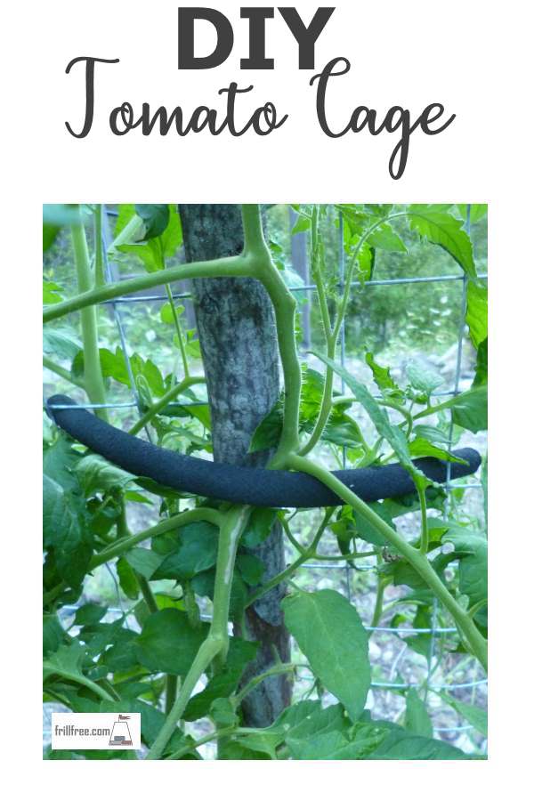 DIY Tomato Cage