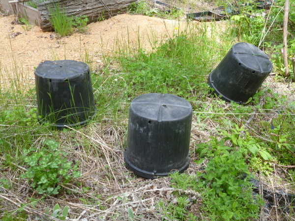 Black Nursery Pots