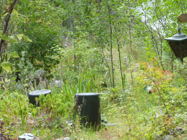 Weed control with black plastic pots