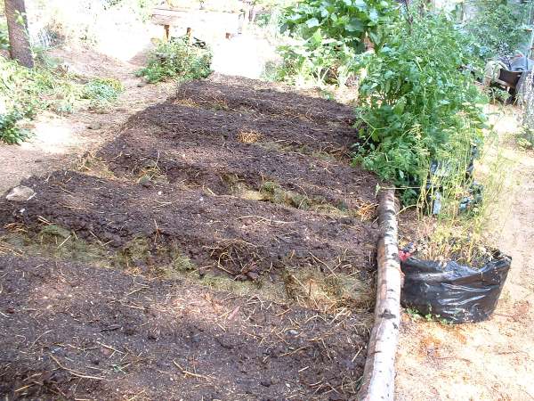 Bed Preparation in the Fall