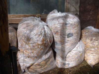 Fall leaves stored in plastic bags