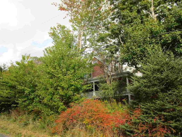 Five Fathom Farm, the view through the trees