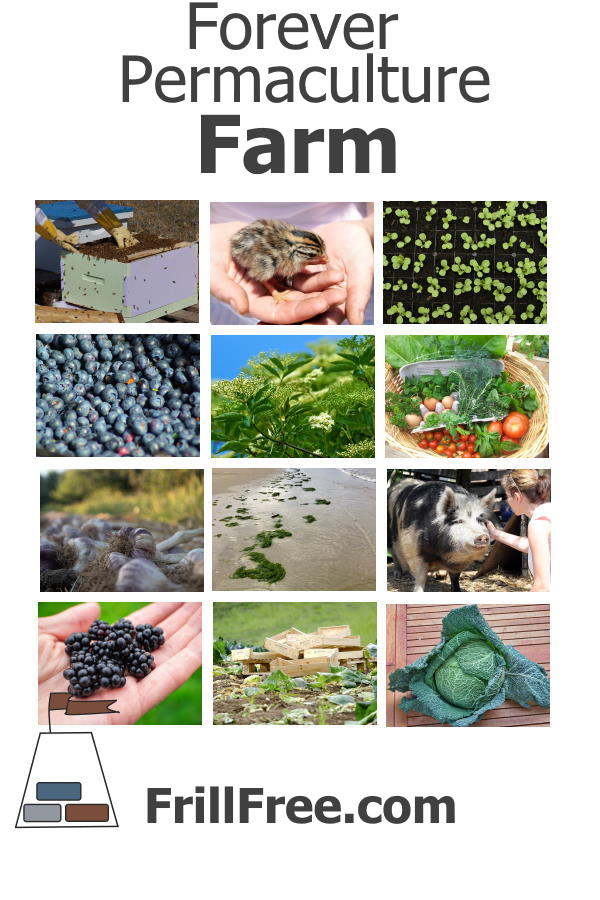 Forever Permaculture Farm