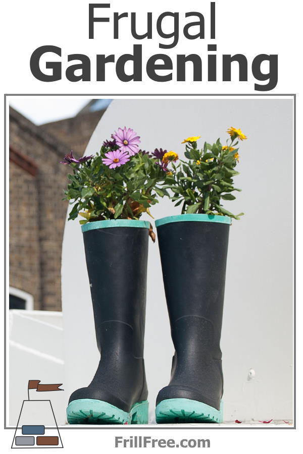 Frugal Gardening using old boots for planters