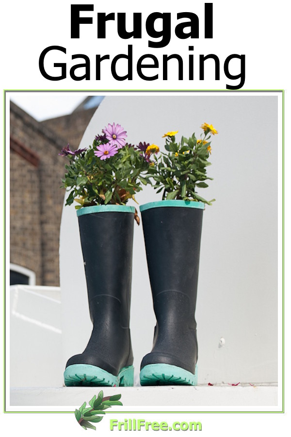 frugal-gardening600x900.jpg