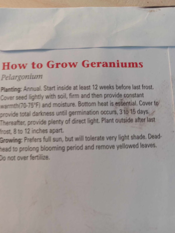 growing-geraniums-from-seed-package2-600x800.jpg